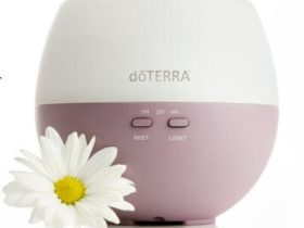 More Joy and Less Stress this Holiday